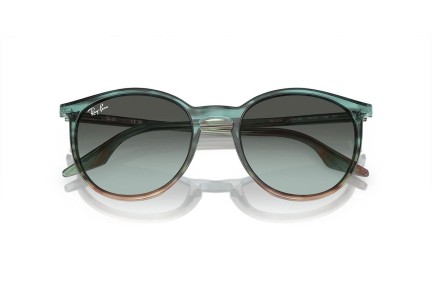 Solglasögon Ray-Ban RB2204 1394GK Runda Blå