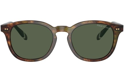 Solglasögon Polo Ralph Lauren PH4206 50179A Polarized Runda Brun