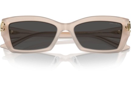 Solglasögon Jimmy Choo JC5011U 502587 Cat Eye Beige