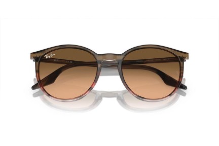 Solglasögon Ray-Ban RB2204 13953B Runda Brun