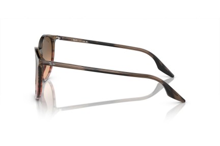 Solglasögon Ray-Ban RB2204 13953B Runda Brun