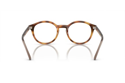 Glasögon Arnette Allye AN7242 2770 Runda Havana