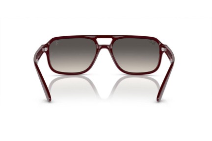 Solglasögon Ray-Ban RB4414M F68511 Special Lila