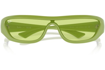 Solglasögon Ray-Ban RB4431 6763/2 Special Grön