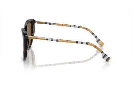 Solglasögon Burberry BE4407 385483 Polarized Cat Eye Havana