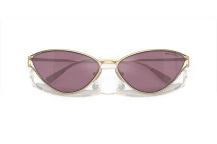 Solglasögon Tiffany & Co. TF3095 6194AK Cat Eye Guld