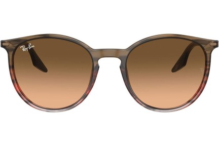 Solglasögon Ray-Ban RB2204 13953B Runda Brun