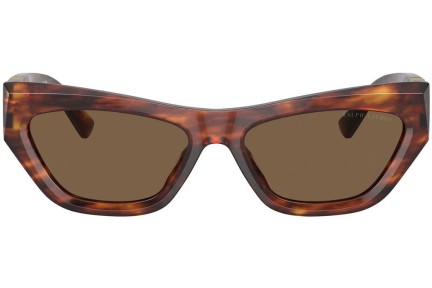 Solglasögon Ralph Lauren The Kiera RL8218U 500773 Cat Eye Havana