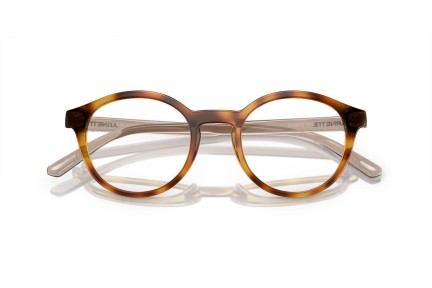 Glasögon Arnette Allye AN7242 2770 Runda Havana