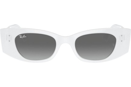 Solglasögon Ray-Ban RB4427 675911 Browline Vit