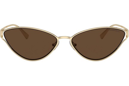 Solglasögon Tiffany & Co. TF3095 61933G Cat Eye Guld