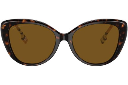 Solglasögon Burberry BE4407 385483 Polarized Cat Eye Havana