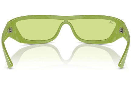 Solglasögon Ray-Ban RB4431 6763/2 Special Grön