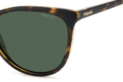 Solglasögon Polaroid PLD4179/S 086/UC Polarized Cat Eye Havana