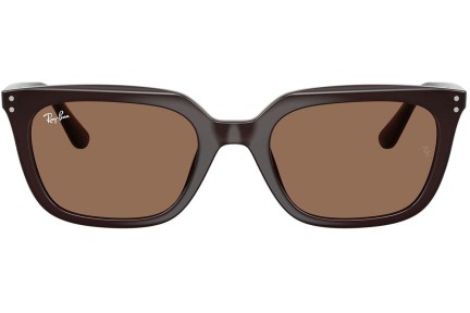 Solglasögon Ray-Ban RB4439D 623173 Fyrkantig Brun