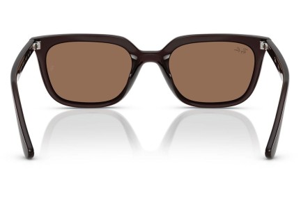 Solglasögon Ray-Ban RB4439D 623173 Fyrkantig Brun