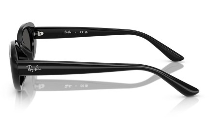 Solglasögon Ray-Ban RB4441D 667787 Oval Svart