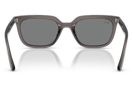 Solglasögon Ray-Ban RB4439D 667587 Fyrkantig Grå