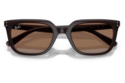 Solglasögon Ray-Ban RB4439D 623173 Fyrkantig Brun