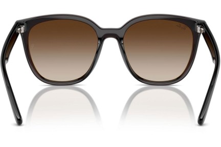 Solglasögon Ray-Ban RB4423D 714/13 Rektangulära Brun