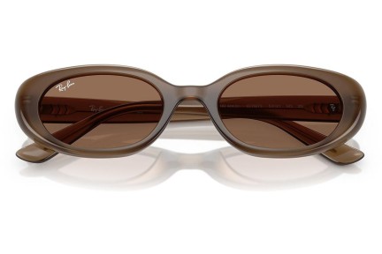 Solglasögon Ray-Ban RB4441D 677973 Oval Brun