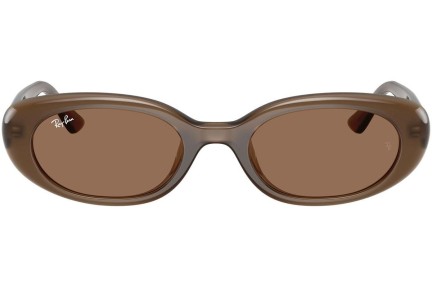 Solglasögon Ray-Ban RB4441D 677973 Oval Brun