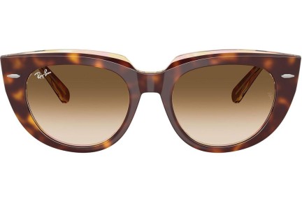 Solglasögon Ray-Ban RB2286 141451 Fyrkantig Havana