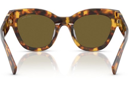 Solglasögon Miu Miu MU01YS 14L09Z Cat Eye Havana