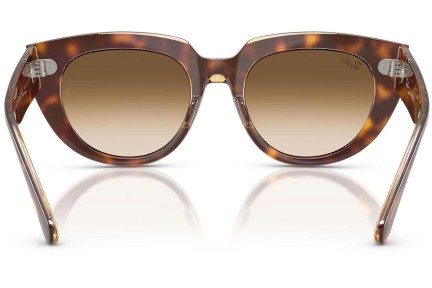 Solglasögon Ray-Ban RB2286 141451 Fyrkantig Havana