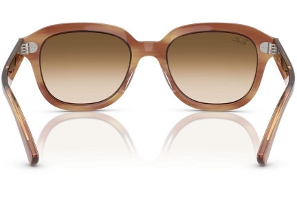 Solglasögon Ray-Ban Erik RB4398 140351 Fyrkantig Brun