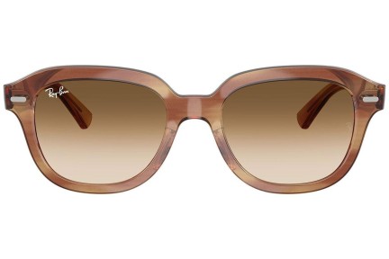 Solglasögon Ray-Ban Erik RB4398 140351 Fyrkantig Brun