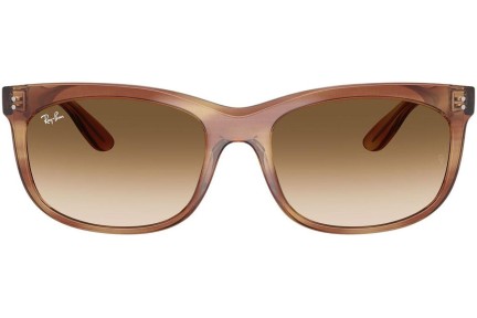 Solglasögon Ray-Ban RB2389 140351 Rektangulära Brun