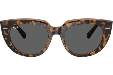 Solglasögon Ray-Ban RB2286 1292B1 Fyrkantig Havana