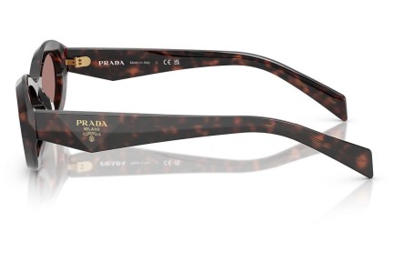 Solglasögon Prada PR26ZS 17N60B Oval Havana