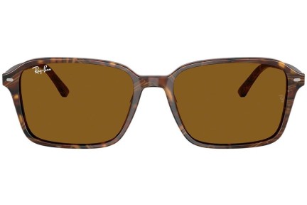 Solglasögon Ray-Ban RB2231 141833 Fyrkantig Brun