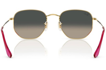 Solglasögon Ray-Ban Hexagonal RB3548N 001/71 Runda Guld