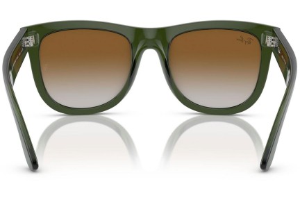 Solglasögon Ray-Ban Wayfarer Reverse RBR0502S 6775CB Fyrkantig Grön