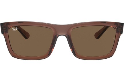 Solglasögon Ray-Ban Warren RB4396 667873 Rektangulära Brun