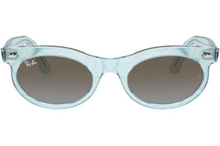 Solglasögon Ray-Ban RB2242 138596 Browline Blå