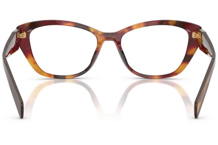 Glasögon Prada PR19WV 22A1O1 Cat Eye Havana