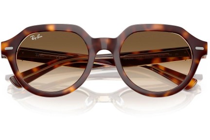 Solglasögon Ray-Ban Gina RB4399 141451 Fyrkantig Havana