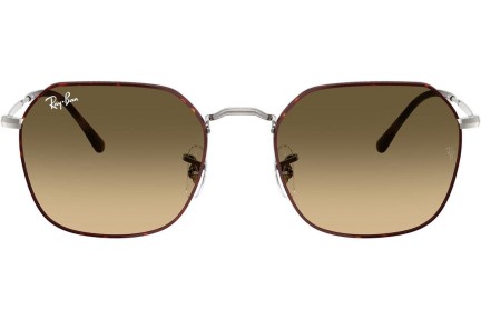 Solglasögon Ray-Ban Jim RB3694 92700A Fyrkantig Grå