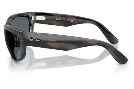 Solglasögon Ray-Ban RB2289 1404R5 Rektangulära Grå