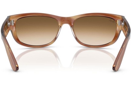 Solglasögon Ray-Ban RB2289 140351 Rektangulära Brun