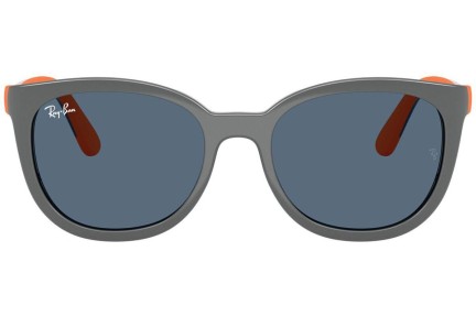 Glasögon Ray-Ban Junior RY1631C 396380 Runda Grå