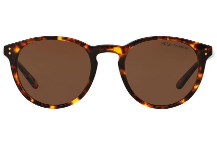 Solglasögon Polo Ralph Lauren PH4110 513483 Polarized Runda Havana