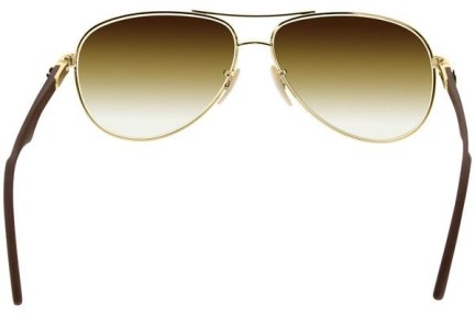 Solglasögon Ray-Ban Carbon Fibre RB8313 001/51 Pilot Guld