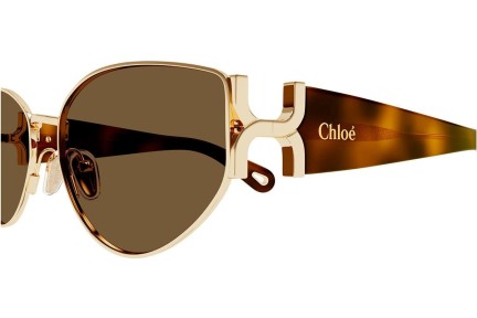 Solglasögon Chloe CH0260S 002 Cat Eye Guld