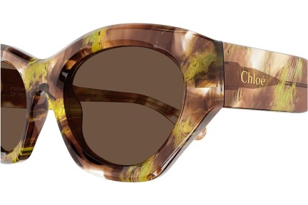 Solglasögon Chloe CH0220S 010 Cat Eye Havana