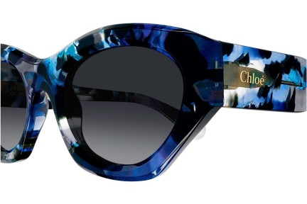 Solglasögon Chloe CH0220S 009 Cat Eye Blå